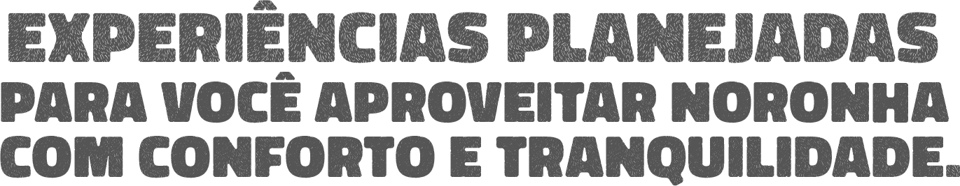 Experiências planejadas para você aproveitar Noronha com confo